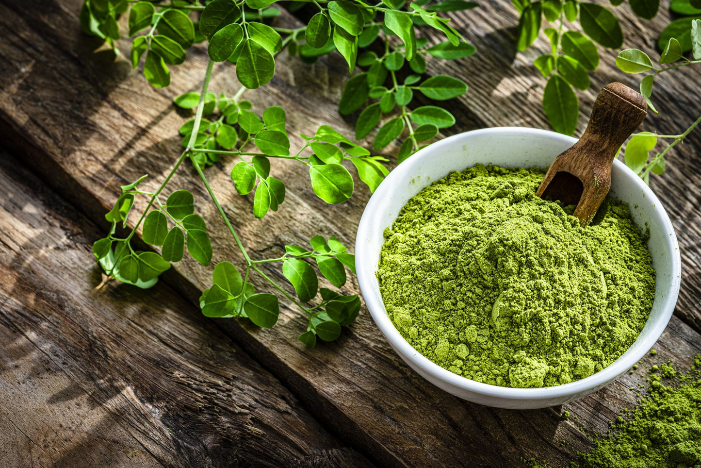 Lafi Wholesale Moringa Powder Sample